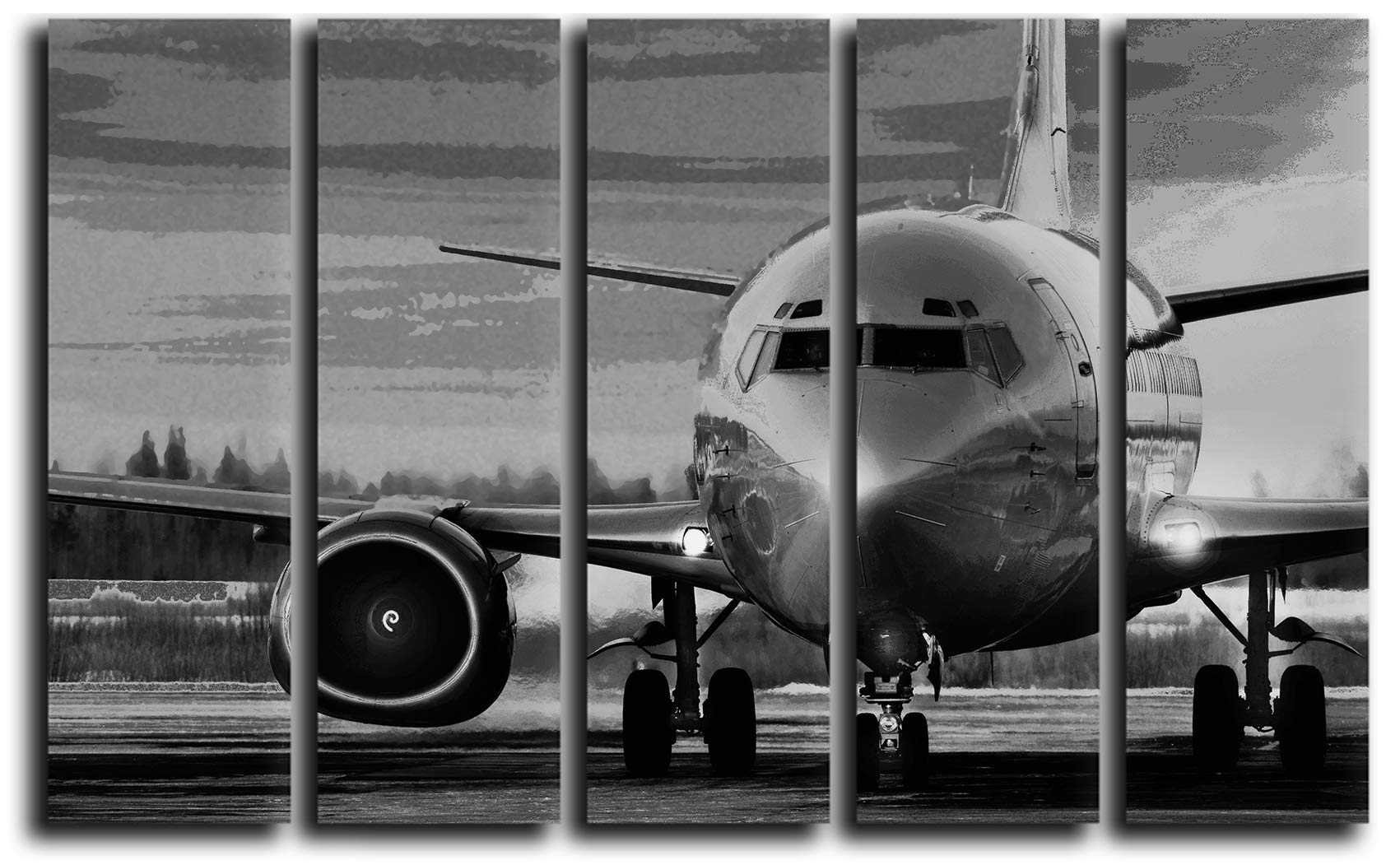 ロイズ・アンティークス　Airplane Photo B 壁掛け  飛行機 額縁 ロイズ・アンティークス Airplane Photo B 壁掛け 飛行機 額縁 ロイズ