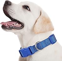 Vista 5 de 9 piezas de collar ajustable para perro, collar de nailon suave para mascotas con hebilla de liberación rápida a granel para perros, caminar