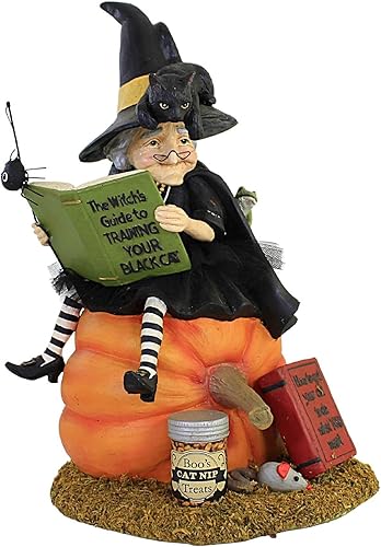 Bethany Lowe Cómo entrenar a tu gato negro, TD1203