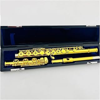 Flute C Tune 17 Keys Open Holes Gold-Plated Carved Key Musical Instruments With Case flute instrument