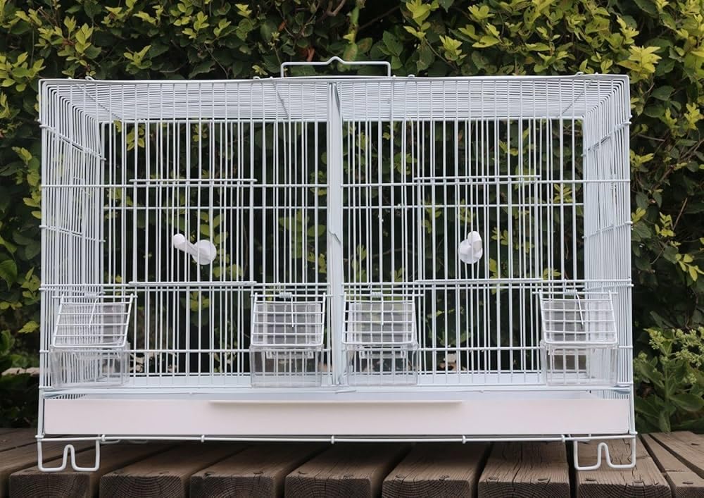 Metal Birds Cages with Removable Partition for Pigeons,Hens,Canary,Finches,Budgies,Lovebirds, Cocktail,Conures for Breeding Box-image-9
