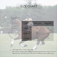 Vista 2 de sampson Botas de caballo, botas deportivas profesionales para caballos con espuma viscoelástica que absorbe los golpes, protección superior y ajuste