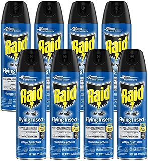 Raid Flying Insect Killer Spray Outdoor Fresh