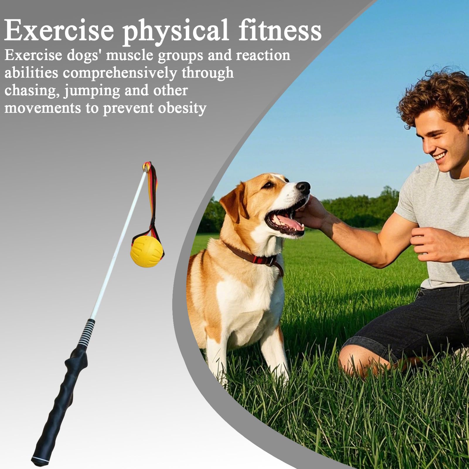Vara de Juego para Perros Vara para Cachorros Resistente | Juguete Interactivo de Tira y Afloja para Ejercicio de Cachorros, Barra de Entrenamiento para Mascotas para Jardín Patio