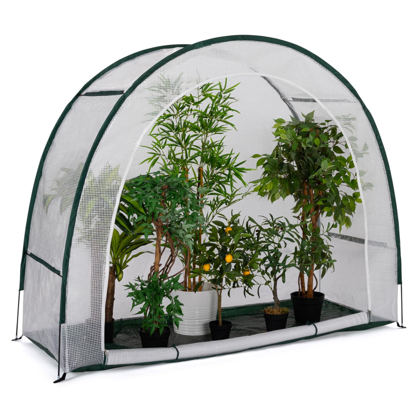 IDMarket - Wintergewächshaus Halbmond 200 x 80 x 170 cm Balkon und Terrasse