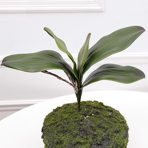 Miniatura 4 de FagusHome Flores artificiales de seda Phalaenopsis de 41 pulgadas, 2 piezas con 2 paquetes de hojas, plantas artificiales de orquídea en blanco para