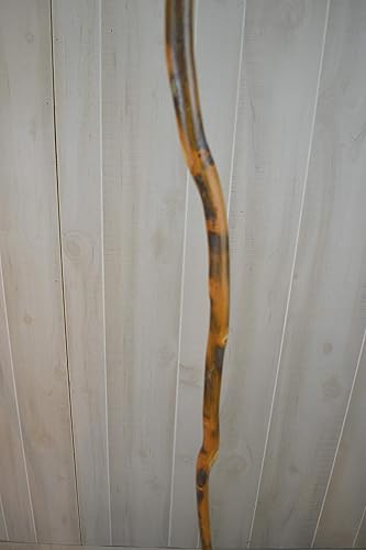 Miniatura 3 de Bastón - Forma libre de nogal - Bastones curvos - Fuerte - Hasta 60" - Personalizar