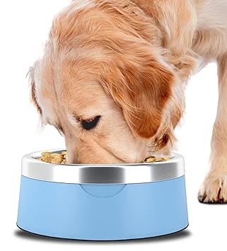Dog Food Water Bowl - Stainless Steel Pet Feeding & Watering Bowl for Small, Medium, & Large Sized Dogs - Durable, Non Slip, 3 Cup Capacity (Cotton Blue)