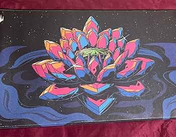 71jrkN8vxqL._AC_UF350,