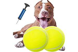 Giant Tennis Ball for Dogs No Pop 9.5"