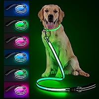 Visinite 4ft LED Light Up Dog Leash - 7 Modes, Rechargeable, Reflective Glow, Double-Sided for Night Walking Safety, Small-Large Pets
