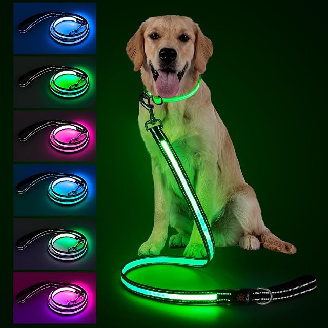 LED Feuille de chien, lumière & Feuille de chien allumée rechargeable, 7 Modes d'éclairage, Poignée rembourrée, laisse lumineuse réfléchissante double-câlin, 360 Clip pivotant pour la marche de nuit, petits à grands chiens (4FT)