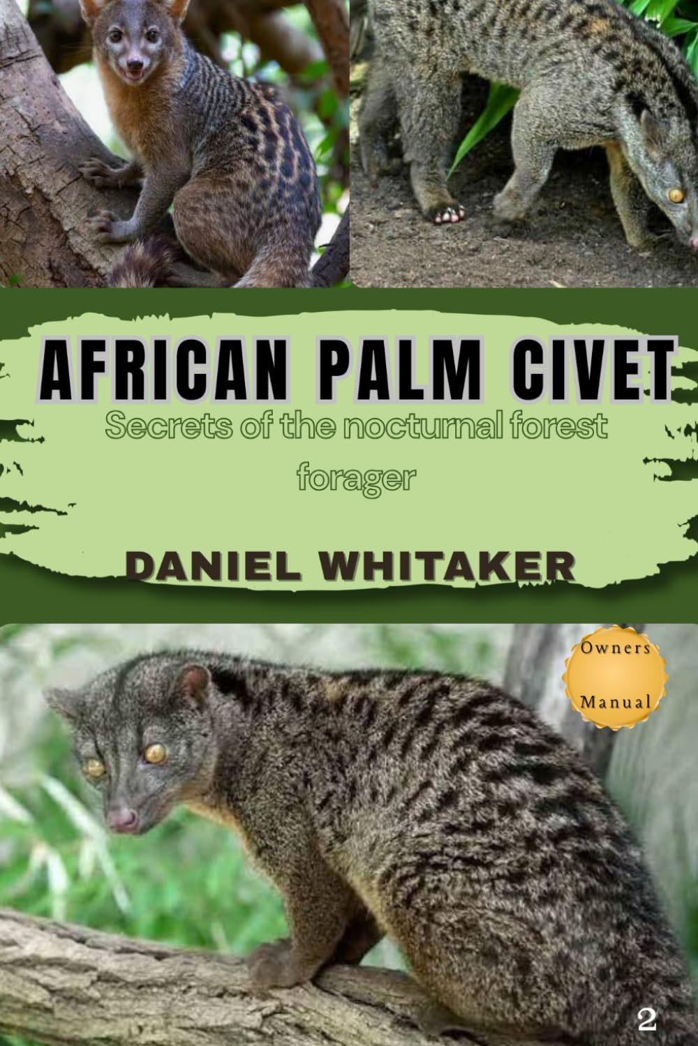 African Palm Civet: Secrets of the nocturnal forest forger