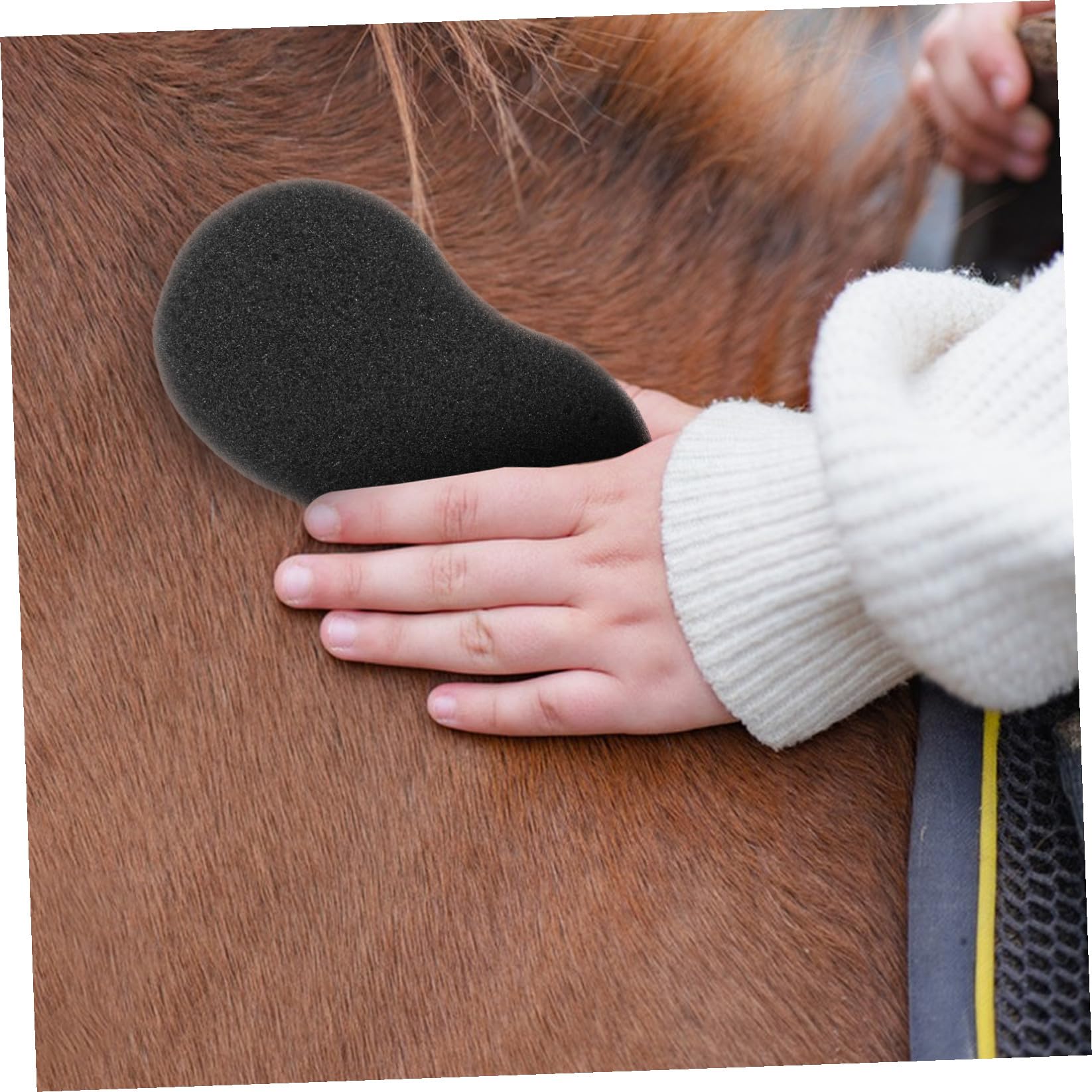 Esponjas de Baño para Caballos y Vacas 5 Piezas de Limpieza