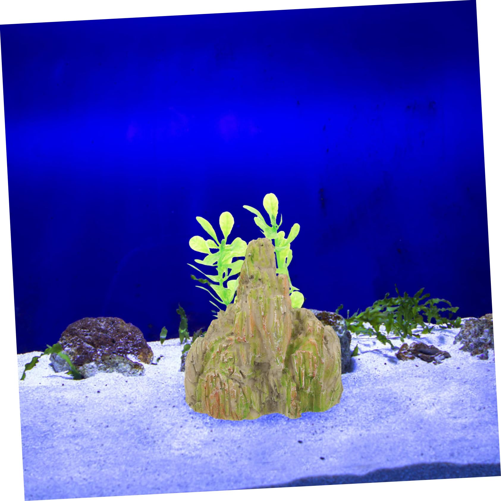 Cabilock 5 Set Paesaggio Roccioso Del Serbatoio Di Pesce Arredamento Ornamenti Del Serbatoio Di Pesce Decorazioni Per Acquari Impostore Decorazione Acquario Con Supporto Resina 2 Pezzi*5