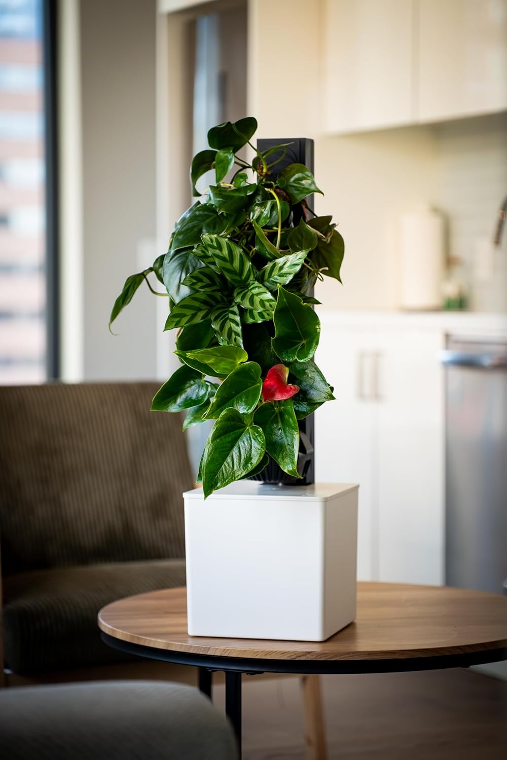 Tevatower Mini Smart Self-Watering Indoor Garden System - 3-Tier 4-Inch Planter Pot for Herbs, Flowers and Indoor Plants, Compact Smart Planter for Home Kitchen Office - Fresh White