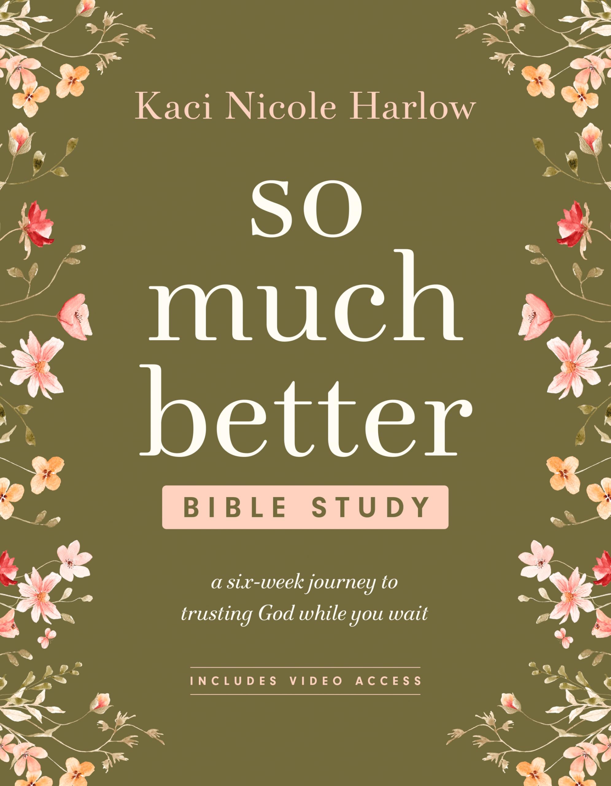 So Much Better Bible Study with Streaming Video Access