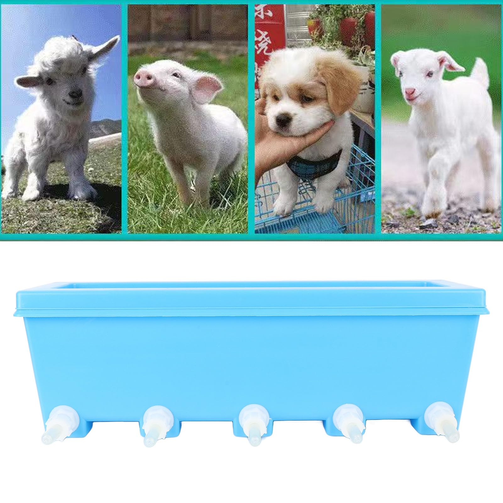 Comedero para Lechones, Equipo de Enfermería Multifuncional para Animales de Granja, Cabra Pequeña, Cordero y Lechones, 18 Componentes ABS