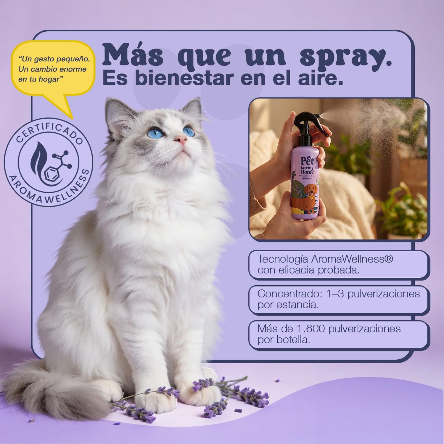 Pack Vela Aromática 350g + Ambientador Spray 200ml - Set Regalo Aroma Lavanda - Neutralizador de Olores de Mascotas - Pet Friendly Perro y Gato - Vela de Soja Decorativa