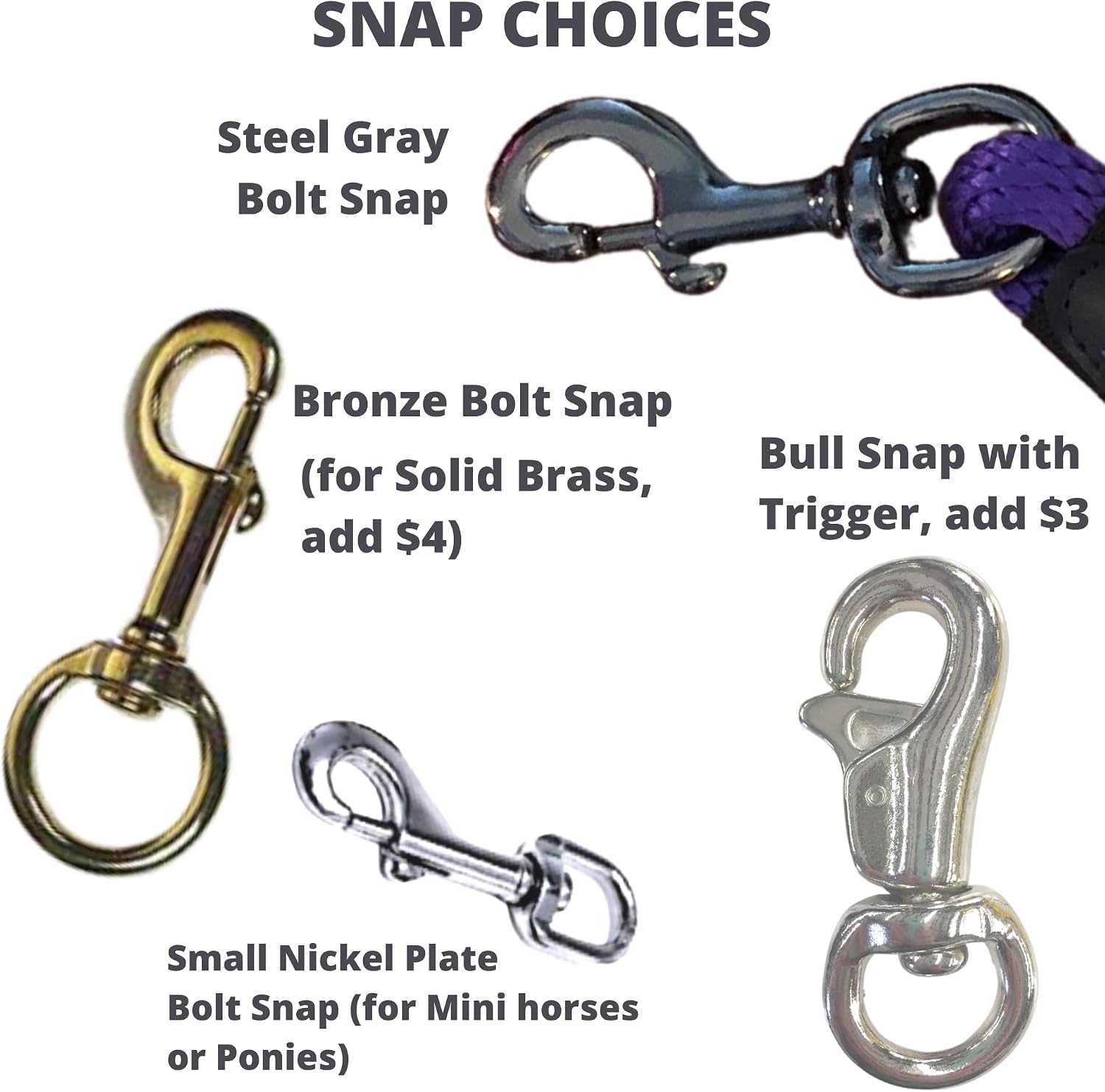 Personalized Embroidered Lead Rope for Horse. 30 Rope Colors, 3 Embroidery Fonts, More Options. Beautiful and Treasured Gift for Trainer, Barn Manager, Riding Buddy or Award for Shows, Rodeos, Events