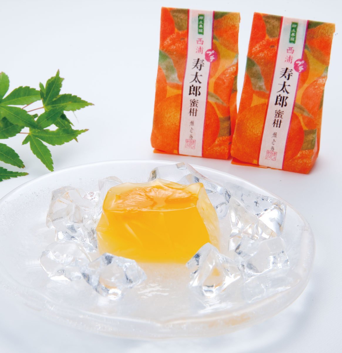 ［珍品］太郎在銘　極上寿老人根付　26g 送料込み Amazon.co.jp: 【観光庁長官賞受賞】静岡産 プチ寿太郎蜜柑 ゼリー 御