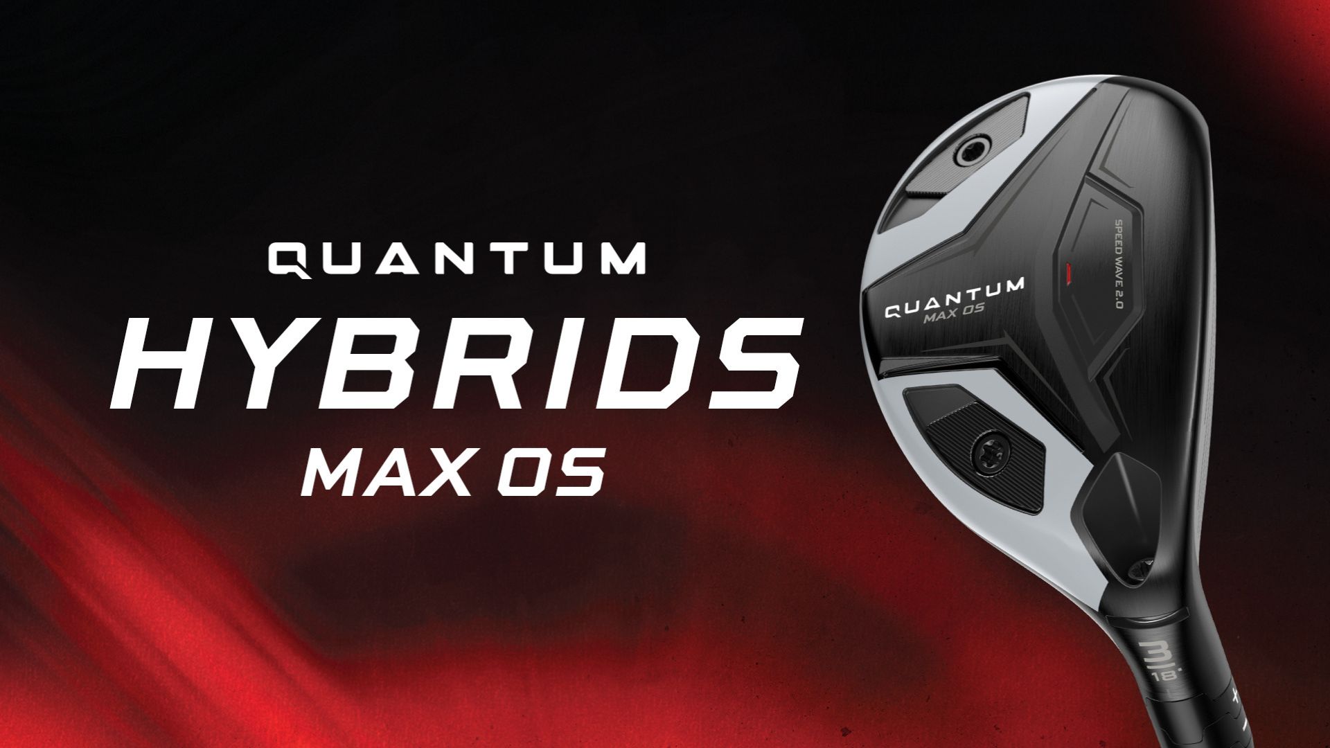 Amazon.com : WD LH QTM MAX OS 3H DEN SLV 60 GR REG : Sports & Outdoors