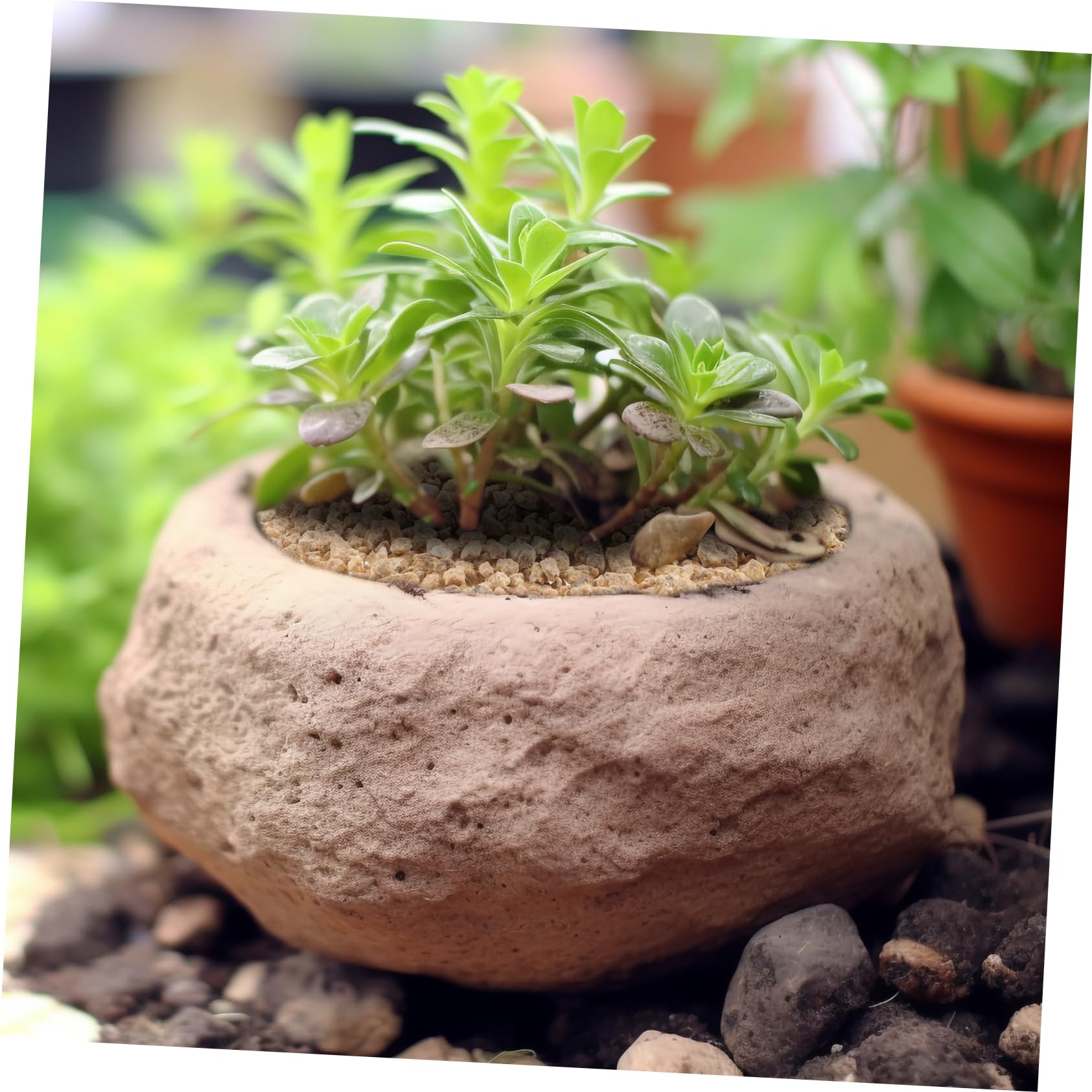 Toyvian Maifanitstein Aquariumsteine Dekoration 5 Beutel 300g pro Beutel | Naturstein, Hohe Härte, Sicher für Fische, für Sukkulenten und Hydrokultur, Bastel und Selbstgemacht Projekte