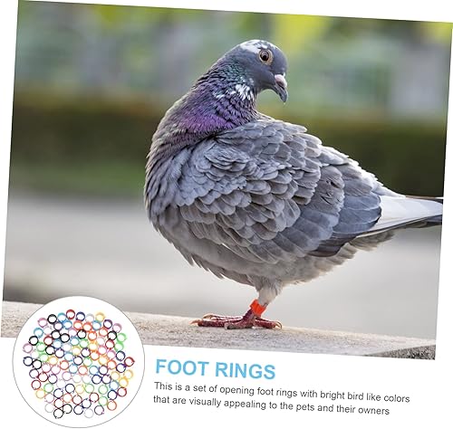 Miniatura 8 de FRCOLOR 300 anillos apilables para canarios de 0.118 in, juguetes de loro, anillos de pie de pájaro, juguetes para pájaros anillos para periquitos