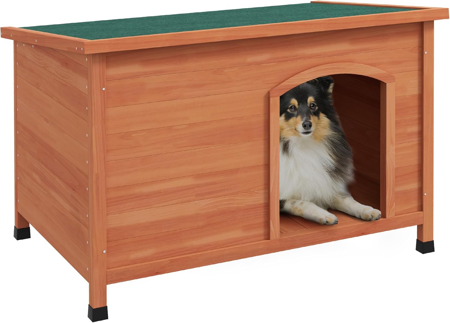 Outdoor Dog Run Bunnings Outdoor Dog Cage Bunnings Dog Kennels For