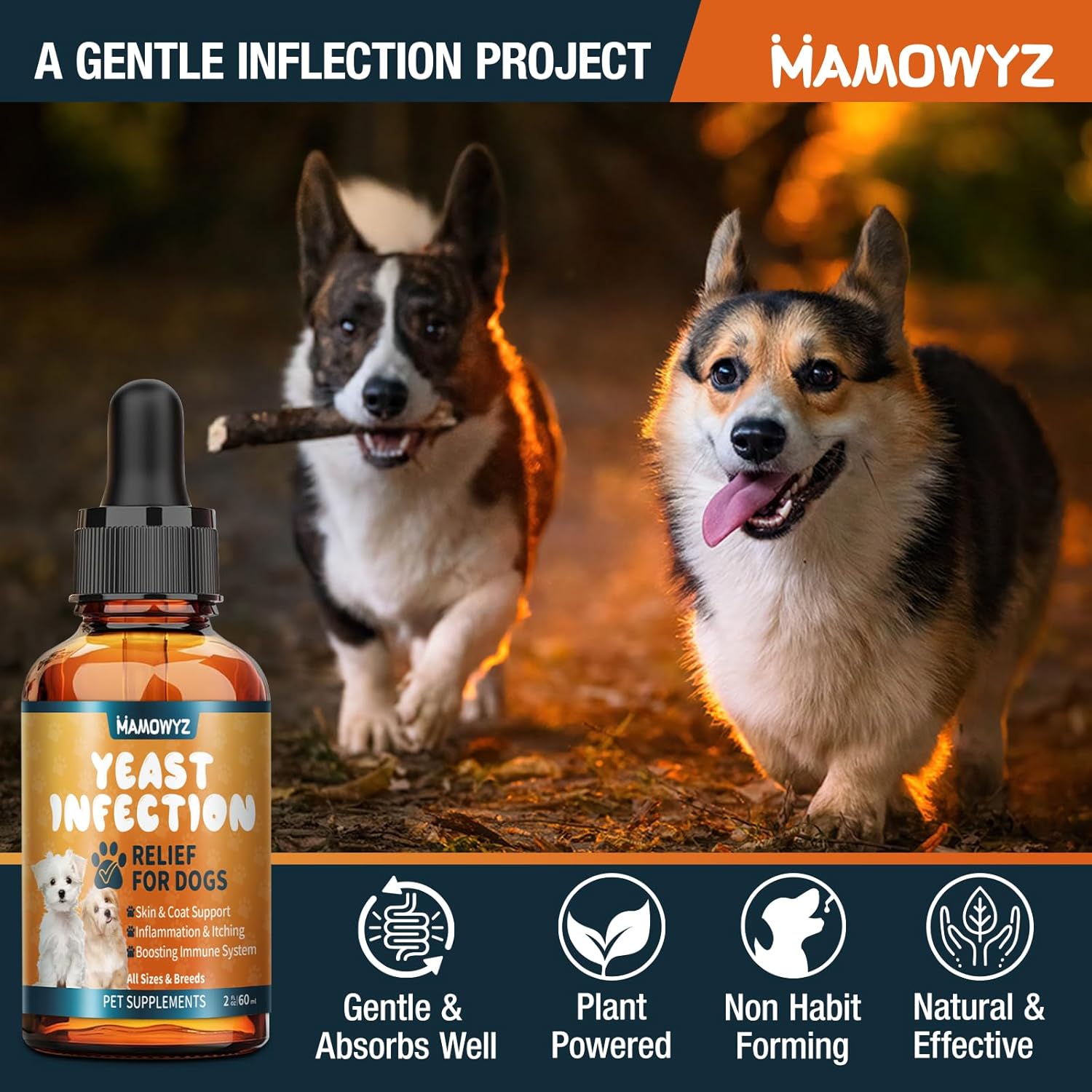 Yeast Infection Treatment for Dogs - Herbal Medicine Supplement Drops, Natural Anti Yeast Supplement, Itchy Ears, Skin & Allergy Symptoms Relief, Reduces Inflammation & Relieves Irritation