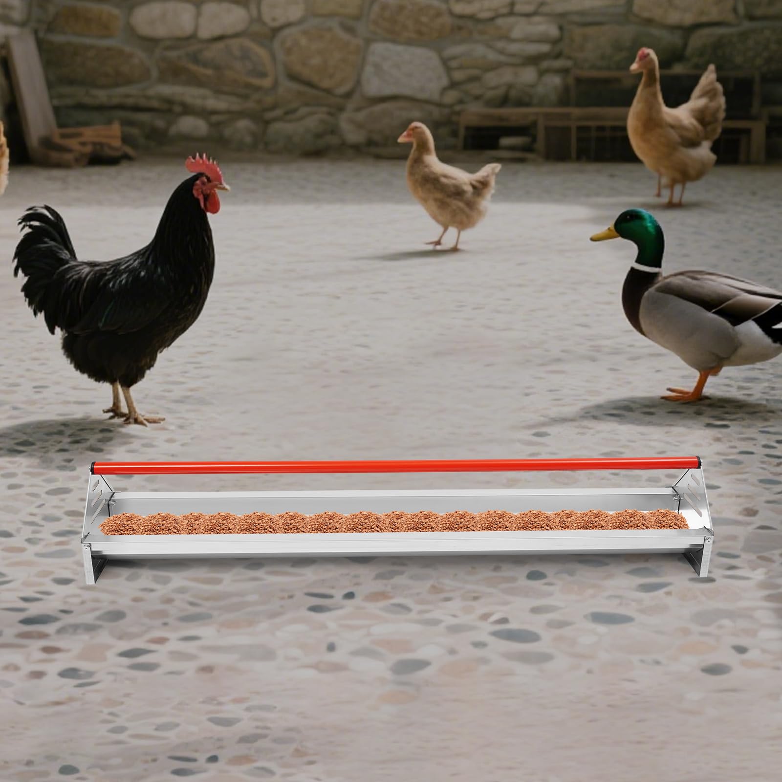 Comedero automático para aves de corral de acero galvanizado, comedero automático con mecanismo de pisada, comedero para pollos, patos, pavos y gansos