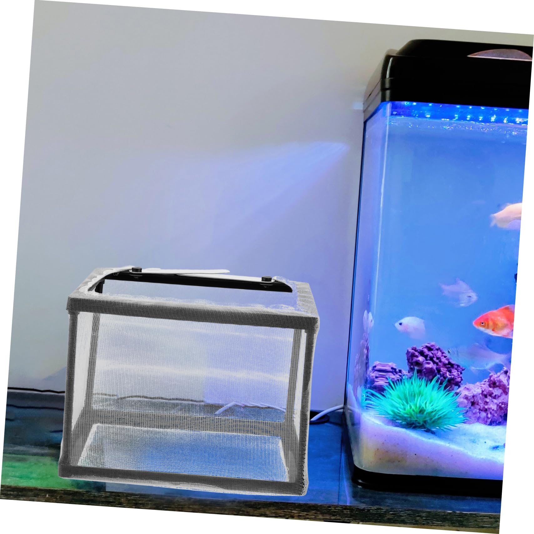 HANABASS 5stücke Aquarium Zuchtbox Für Babyfische Atmungsaktive Isolationsbox Mit Feinem Netz Sicher Und Praktisch Für Aufzucht Leicht Zu Reinigen Und Tragbar Für Aquarien Und
