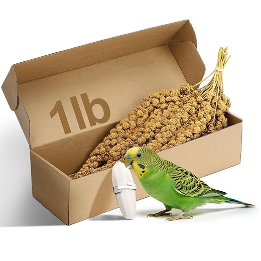 MEWTOGO Spray Millet & Cuttlebone Bird Treats Set - 1lb Hand Selected Golden Millet Treats for Parakeets Cockatiel Lovebirds Canaries Finches, Energy & Calcium Boost