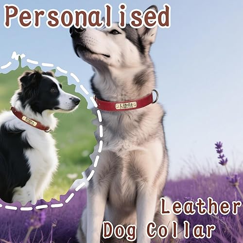 Miniatura 2 de Collar de perro de cuero personalizado y juego de correa, personalizado con diseño acolchado suave resistente con placa de nombre grabada