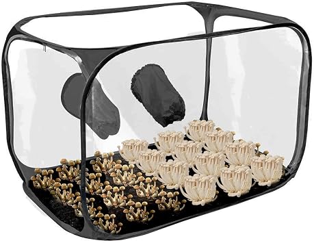 LAFANDE Mushroom Still Air Box, Portable Mushroom Grow Bags, Mushroom Planting Bag Tentcan, Sturdy Laminar Hood, Can Be Used for Medical Or Che-mical Experiments