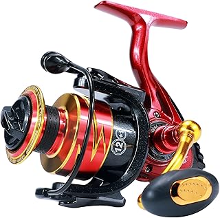 Sougayilang Carrete de pesca, ultraligero de potencia suave 12+1 BB Spinning Reel con 5.5:1 de alta velocidad relación de engranaje para agua dulce y agua salada-LB2000