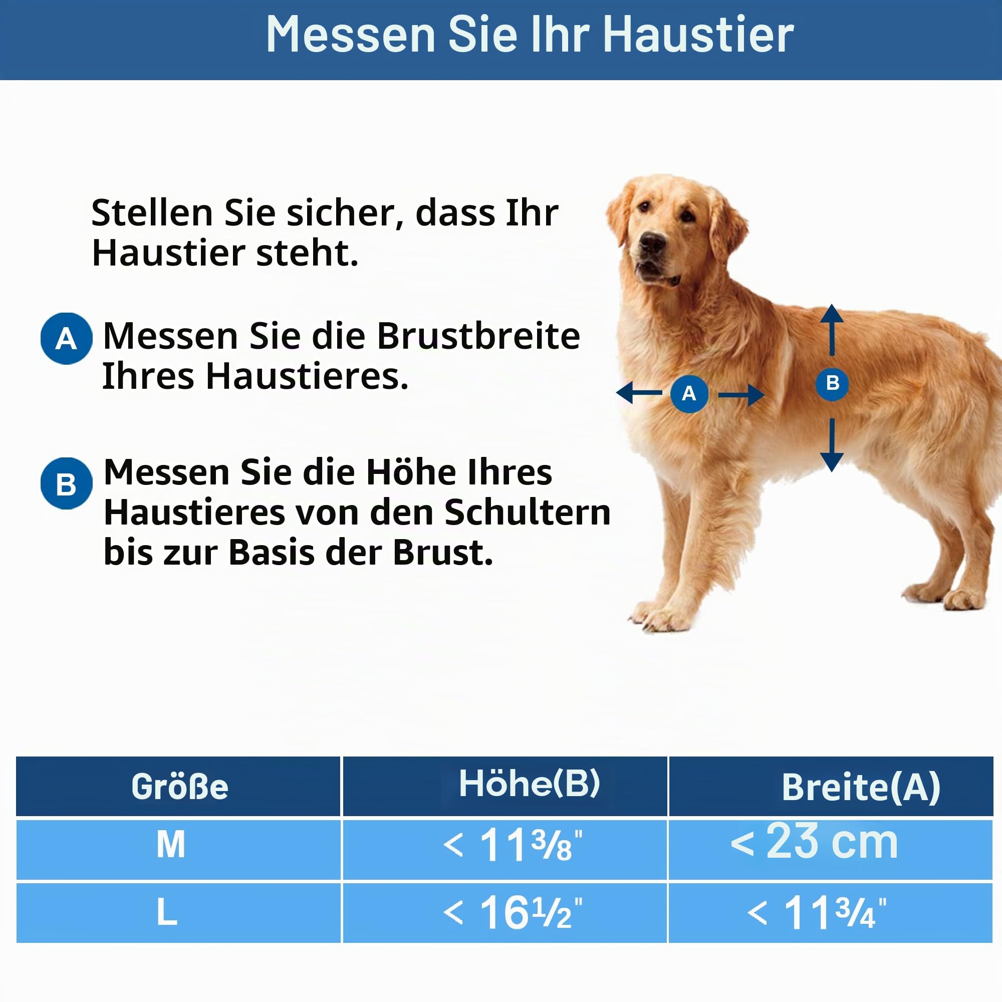 CEESC Hundeklappe für große Hunde, Wetterfeste Pet Door für Katzen und Hunde bis zu 45 KG, Haltbare, Snap-In Schließplatte Inklusive, Geeignet für Innen- und Außentüren (groß, schwarz