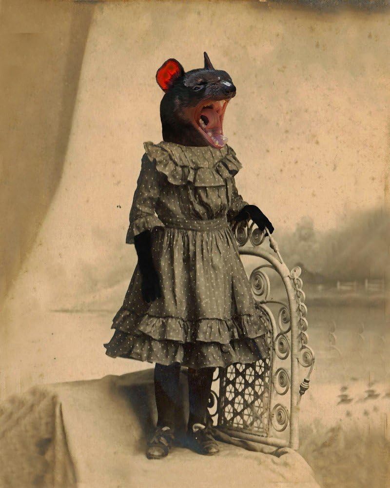 Victorian TASMANIAN TIGER GIRL yawning Altered portrait anthro art print