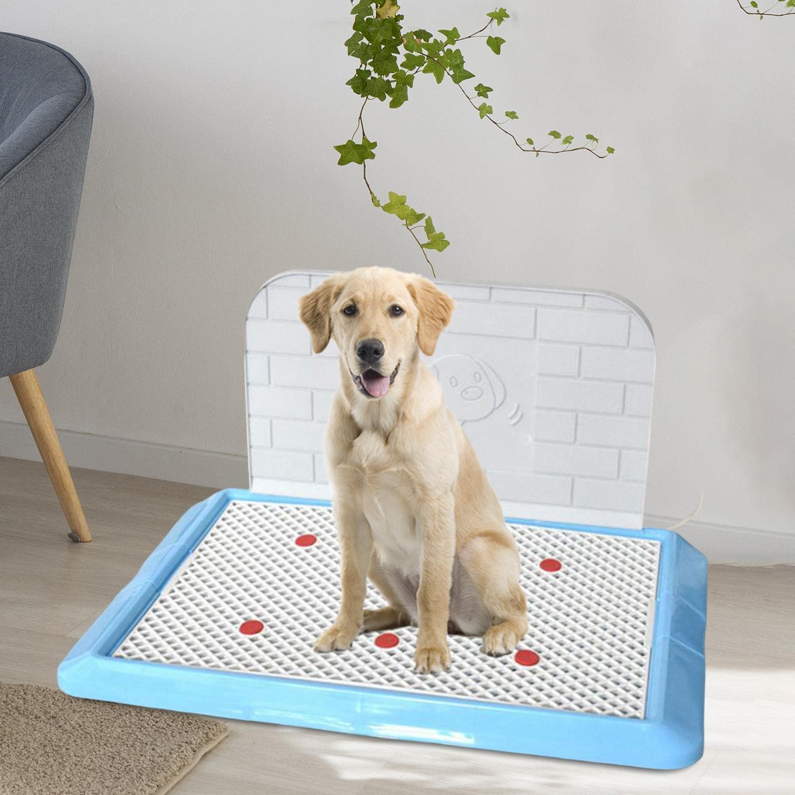 perfk Reutilizable Caja de Arena para Perros Perros Orinal Inodoro Pee Loo Pad Titular Contenedor Pan Bedpan con Cerca Bandeja de Arena para Mascotas