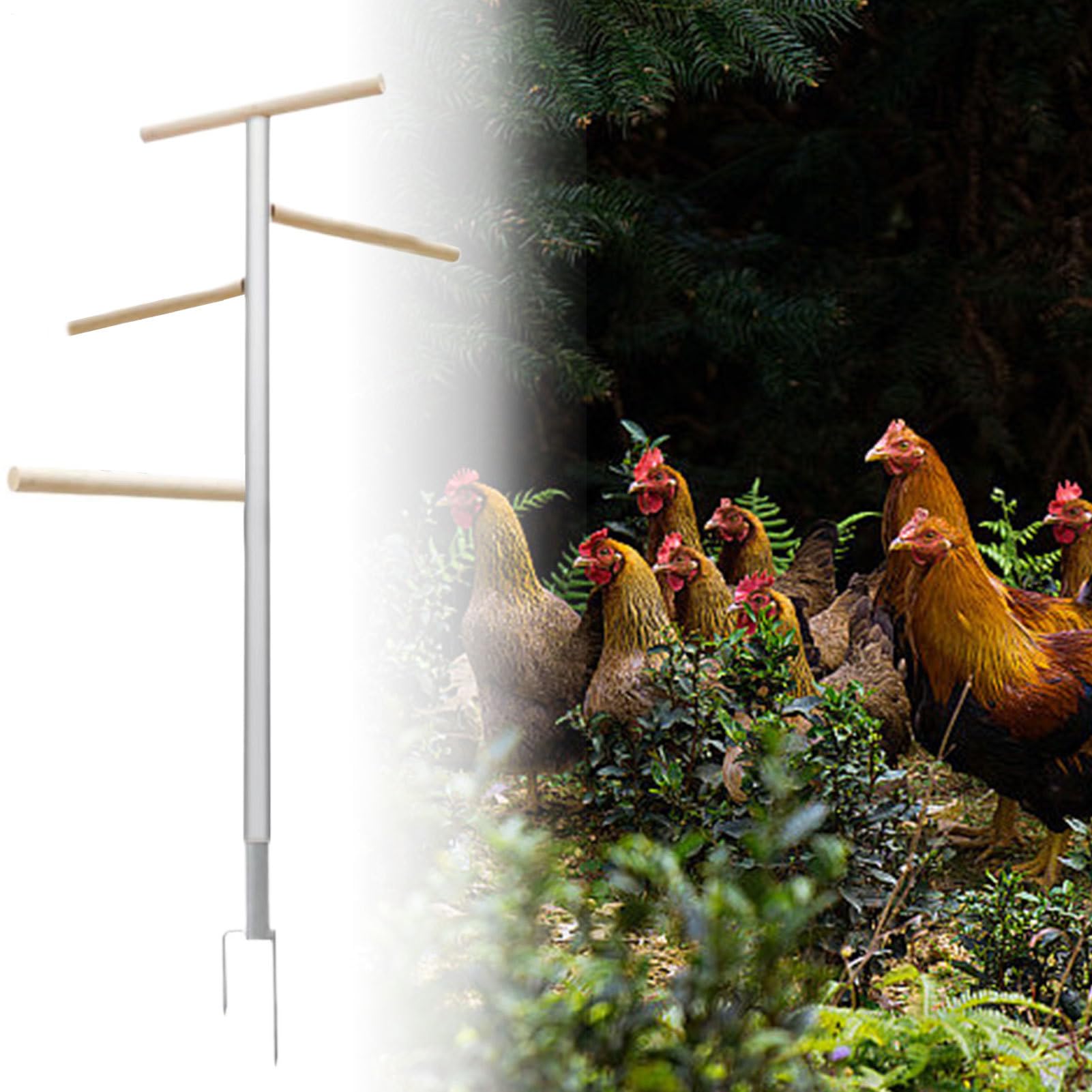 Perchoir à Poules 4 Niveaux Multifonction Et Ample Gain De Place