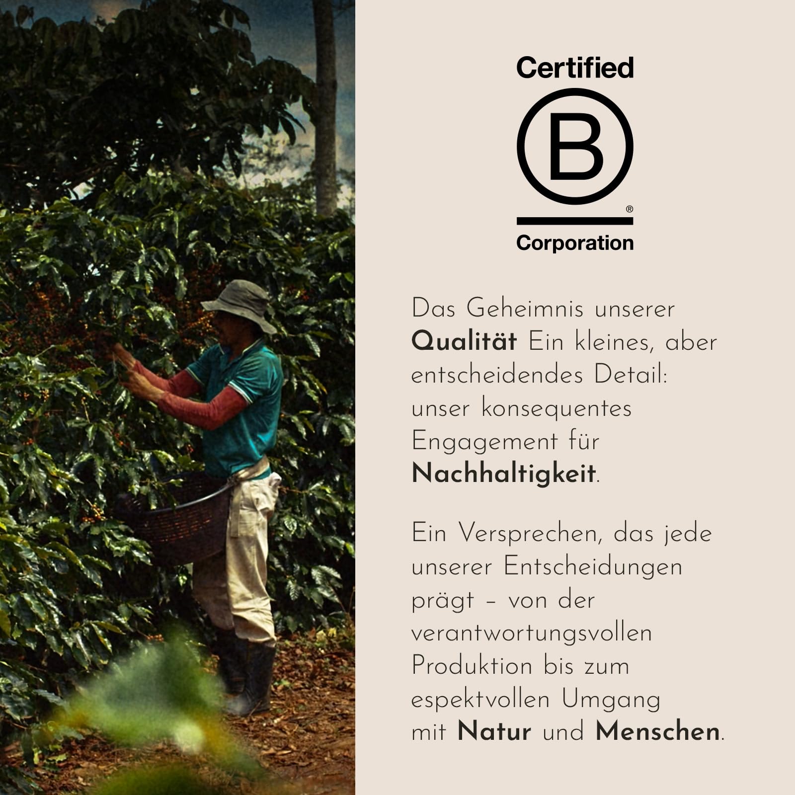 illy, Kaffee in Kapseln Iperespresso INTENSO, 108 Kapseln Insgesamt | 100% Arabica mit Noten von Kakao und Trockenfrüchten, Vollmundiger und Kräftiger Nachgeschmack, 6 Packungen à 18