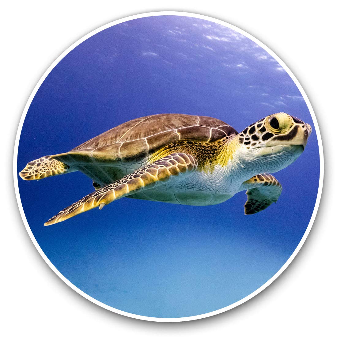 Destination Vinyl Ltd Cute Sea Turtle Ocean Nature 2051 Vinyl Stickers (Set Of 2) 10Cm - Cute Sea Turtle Ocean Nature Decals For Laptops,Tablets,Luggage,Scrap Booking,Fridges, 2051