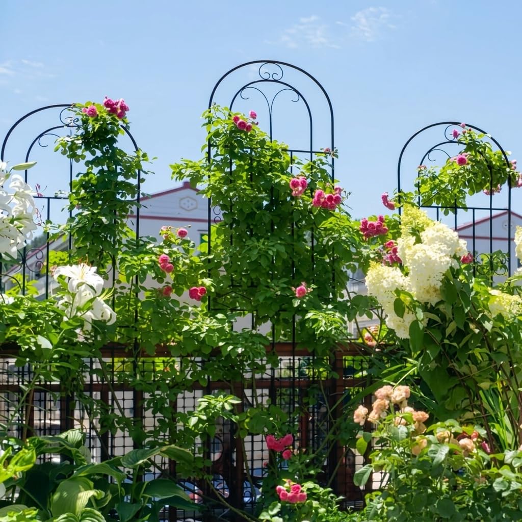 Traliccio da Giardino Arco in Metallo, Sezioni Preassemblate, Struttura per Fiori, Terrazze Panoramiche, Per Proprietari Giardino, Nero, 200 cm Altezza 50 cm Larghezza