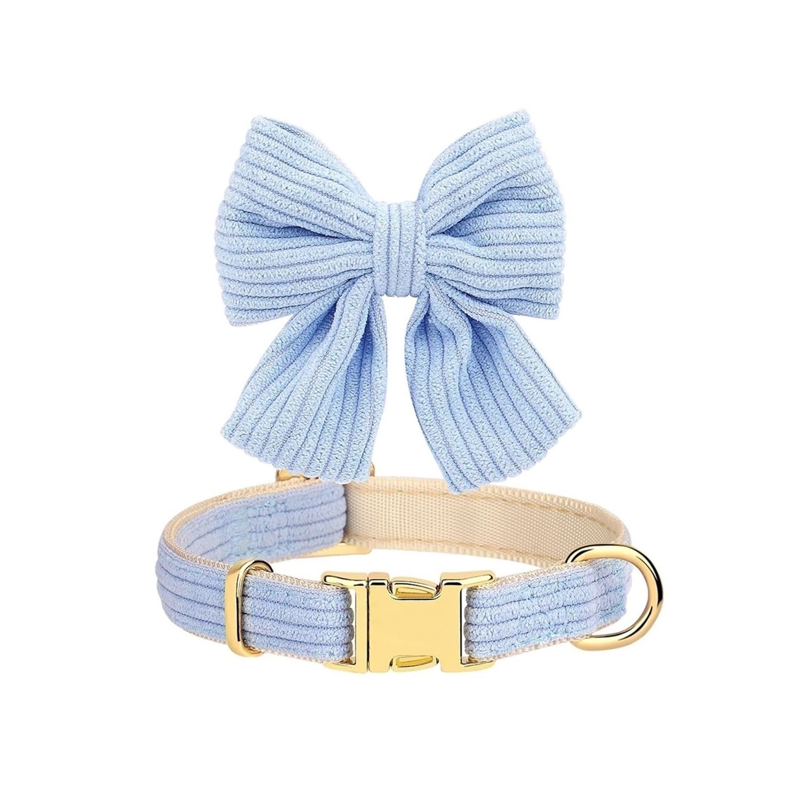 Collier et laisse pour chiot en velours bleu M idéal pour les balades quotidiennes au parc