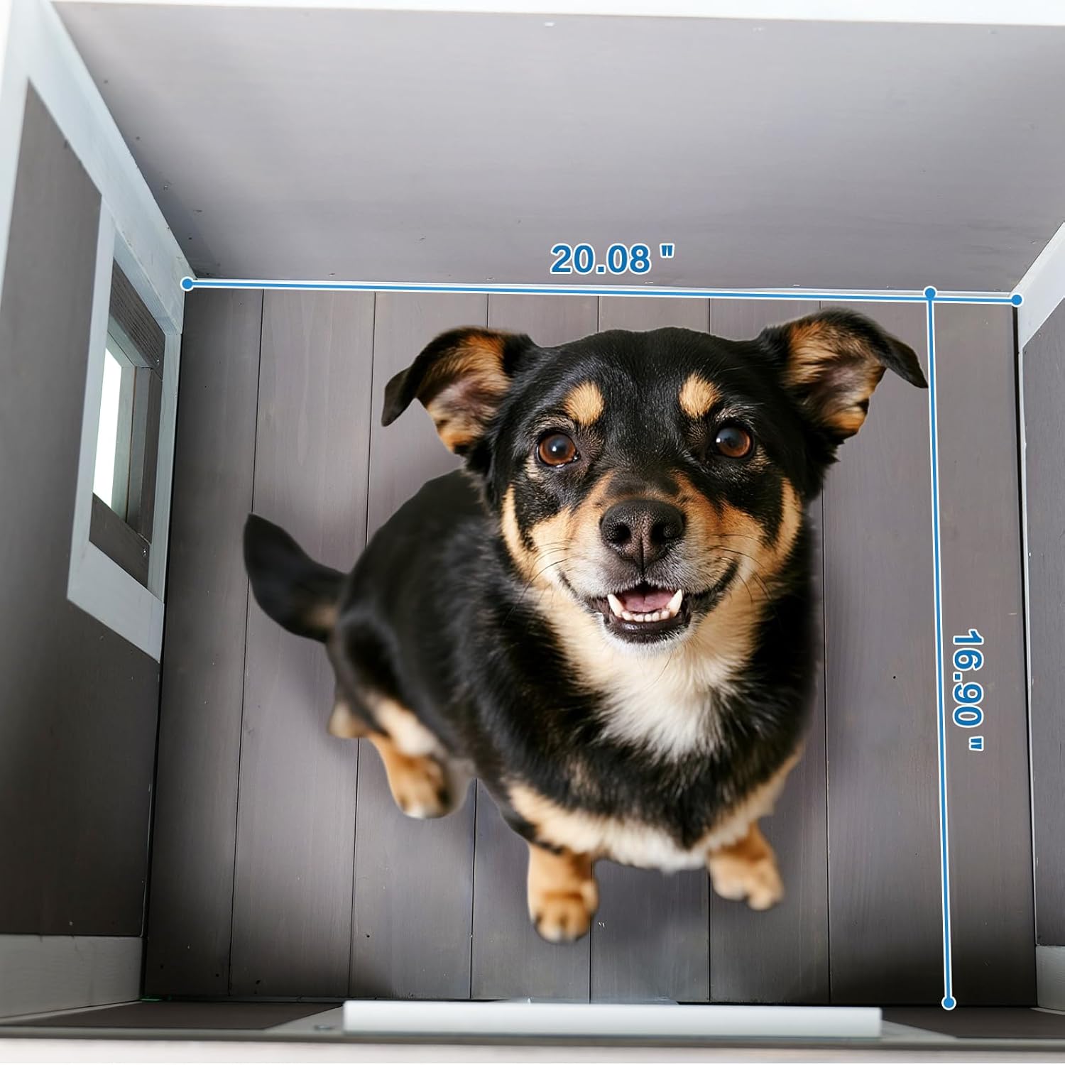 A small dog sitting comfortably inside the dog house, with interior dimensions indicated.