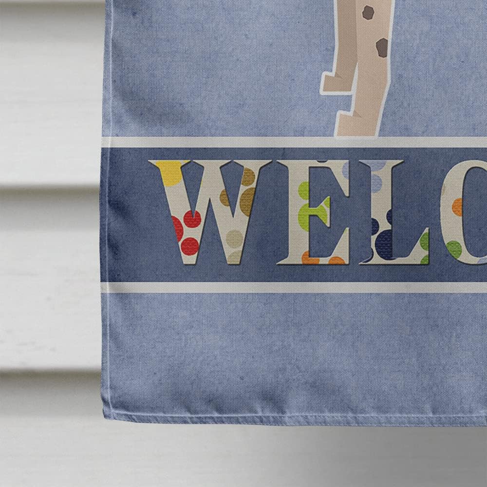 Caroline's Treasures CK3573CHF American Hairless Terrier Welcome House Flag Large Porch Sleeve Pole Decorative Outside Yard Banner Artwork Wall Hanging, Polyester, House Size, Multicolor