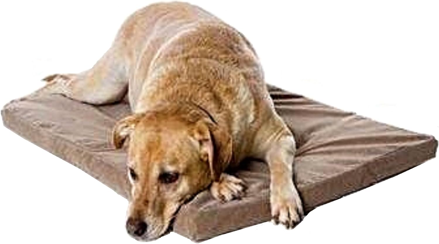 45S3 45"X27"X3" Full Layer Memory Foam Pad Pet Bed with Waterproof Microfiber Suede cover for Medium Large Dog, Crate & SUV