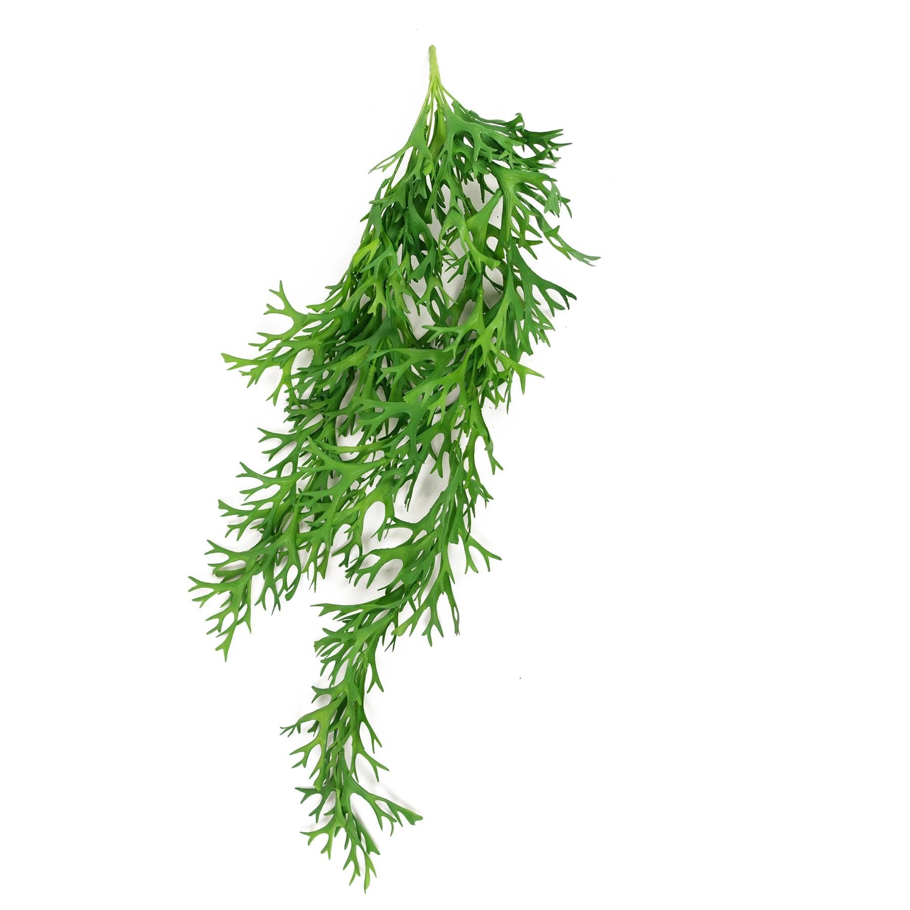 80cm Artificial Hanging Staghorn Fern - Green - Leaf
