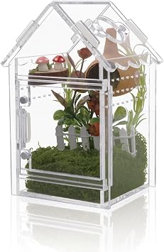Acrylic Terrarium Kit for Jumping Spiders & Tarantulas - 3.15"x3.15"x5.6" Spider Enclosure with Magnetic Feeding Door & Secure Latch - Ideal Reptile Cage, Praying Mantis Habitat, Bug Terrarium