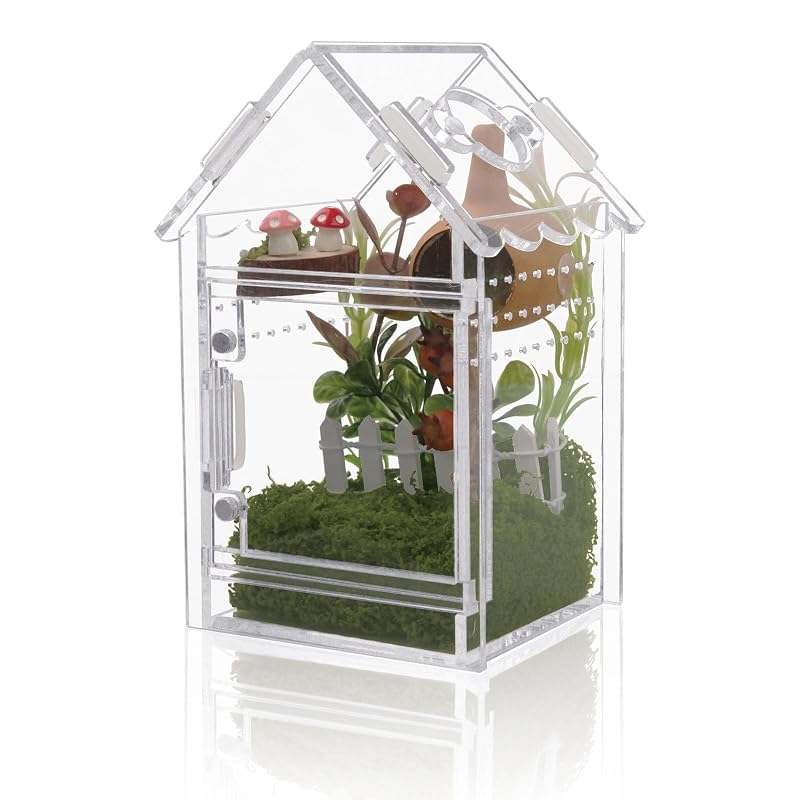 Terrário de Acrílico para Aranhas Saltadoras e Tarântulas Pequenas LEIZHENZI com Porta Magnética de Alimentação e Trava, 8 x 8 x 14,22 cm